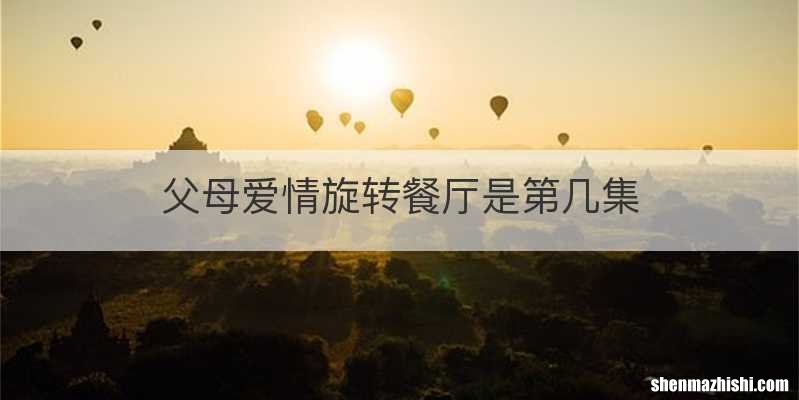 父母爱情旋转餐厅是第几集