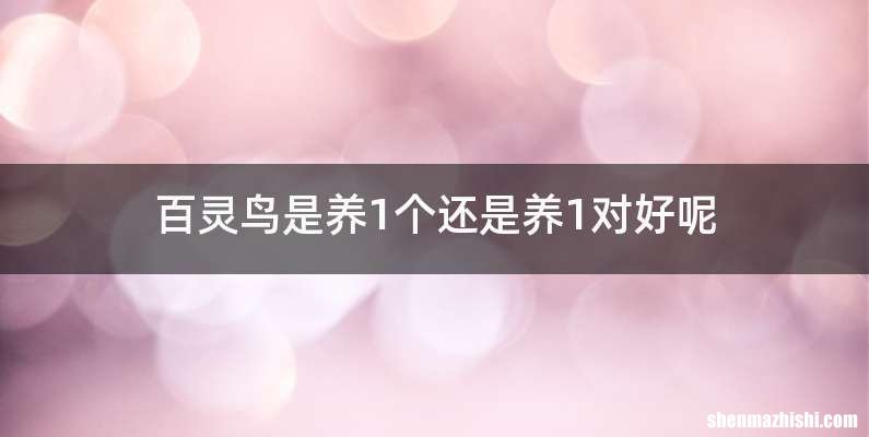 百灵鸟是养1个还是养1对好呢