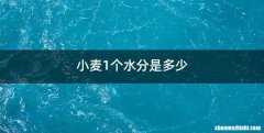 小麦1个水分是多少