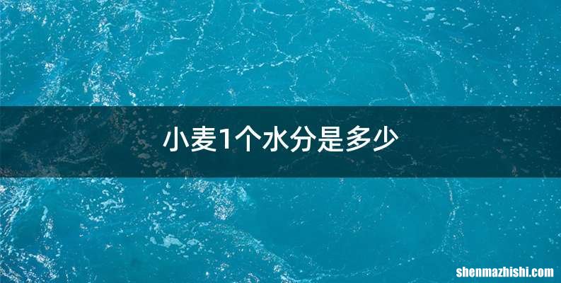 小麦1个水分是多少