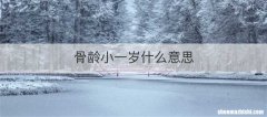 骨龄小一岁什么意思