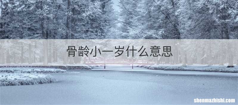 骨龄小一岁什么意思