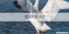 谎言的近义词
