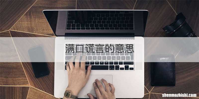 满口谎言的意思