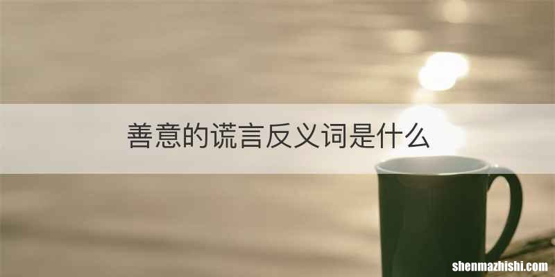 善意的谎言反义词是什么
