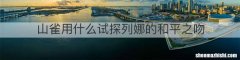 山雀用什么试探列娜的和平之吻