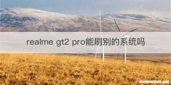 realme gt2 pro能刷别的系统吗