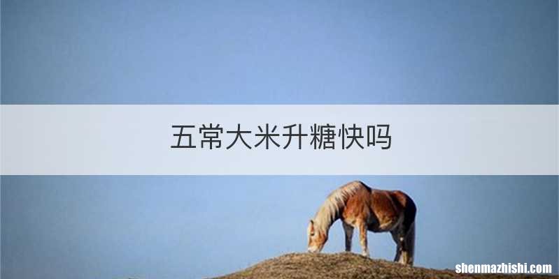 五常大米升糖快吗