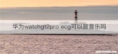 华为watchgt2pro ecg可以放音乐吗