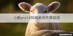 小新pro14如何关闭开屏启动