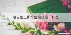 电吉他上那个金属杆是干什么