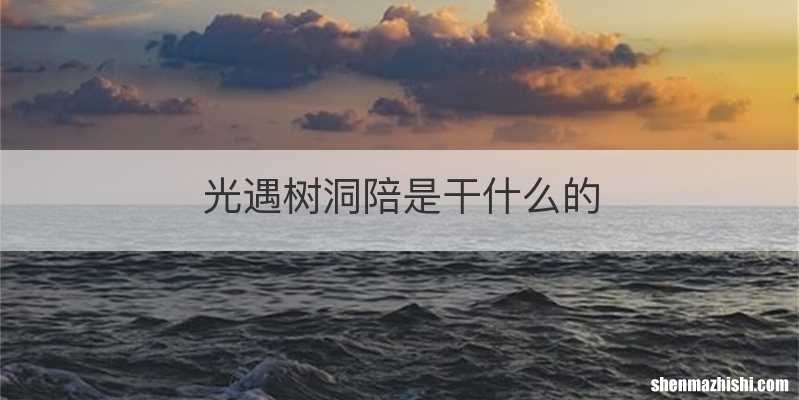 光遇树洞陪是干什么的