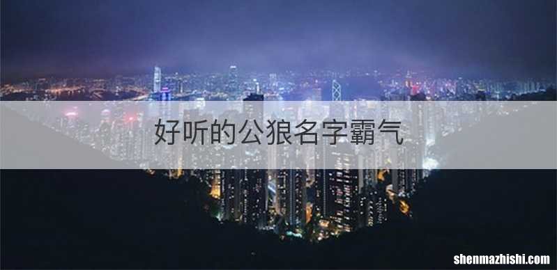 好听的公狼名字霸气