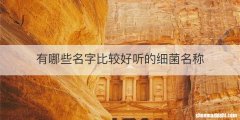 有哪些名字比较好听的细菌名称