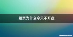 股票为什么今天不开盘