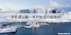 手机是从哪一年开始流行起来的