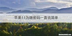 苹果11为啥密码一直说简单