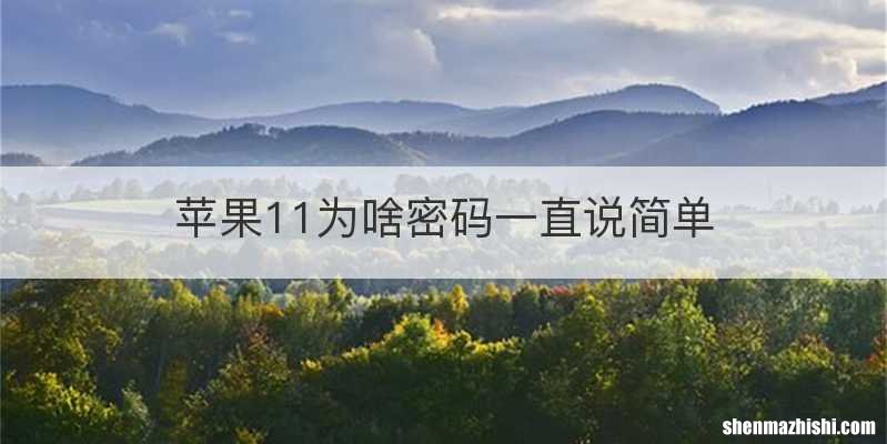 苹果11为啥密码一直说简单