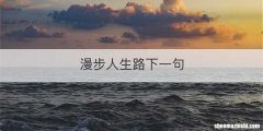 漫步人生路下一句
