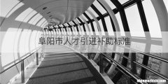 阜阳市人才引进补助标准