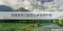 安徽阜阳三胎怎么申请领补贴