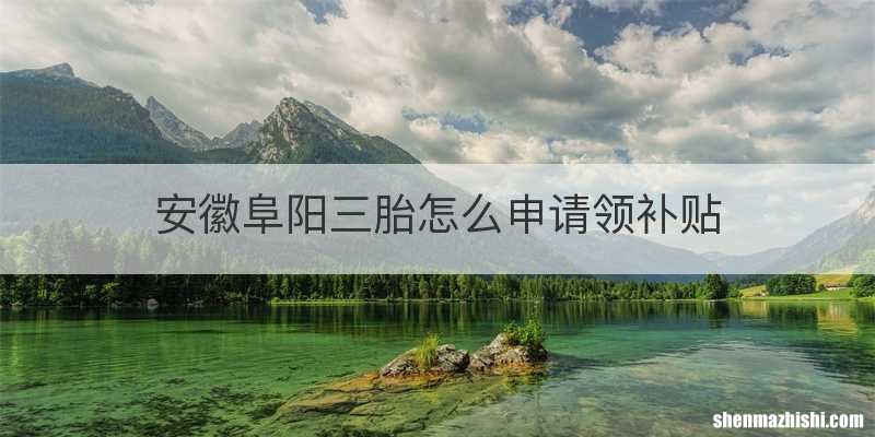 安徽阜阳三胎怎么申请领补贴