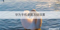 华为手机桌面冻结设置