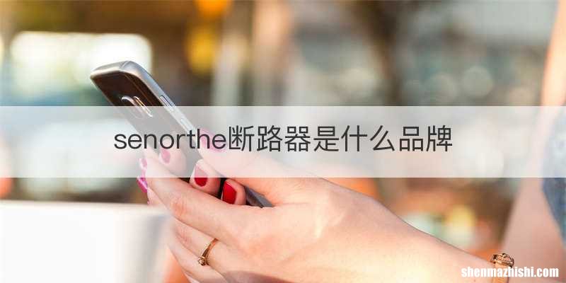 senorthe断路器是什么品牌