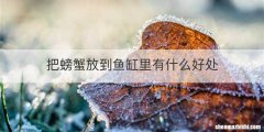 把螃蟹放到鱼缸里有什么好处