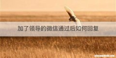 加了领导的微信通过后如何回复