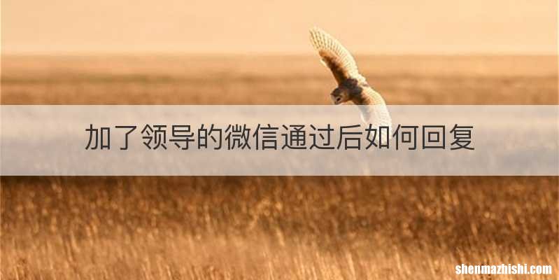 加了领导的微信通过后如何回复
