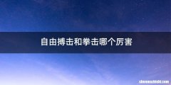 自由搏击和拳击哪个厉害