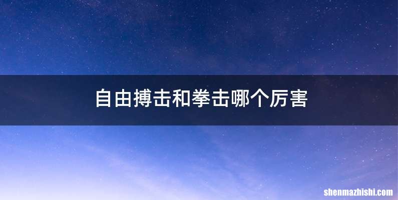 自由搏击和拳击哪个厉害