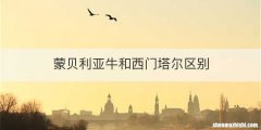 蒙贝利亚牛和西门塔尔区别