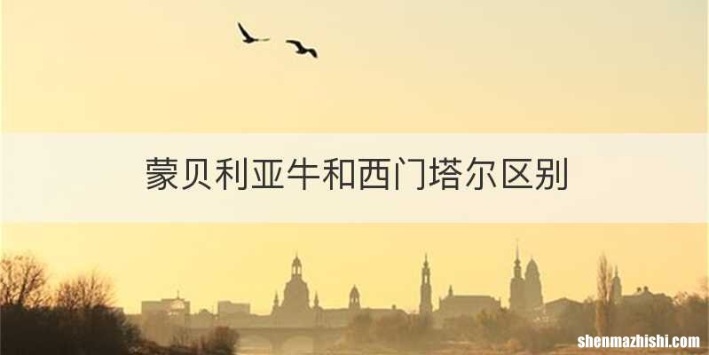 蒙贝利亚牛和西门塔尔区别