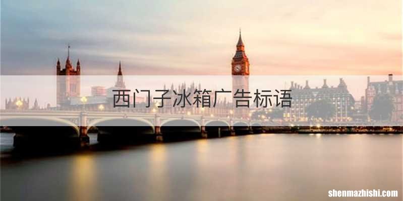 西门子冰箱广告标语