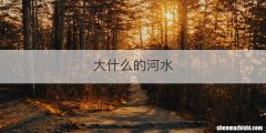 大什么的河水