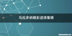 马拉多纳精彩进球集锦