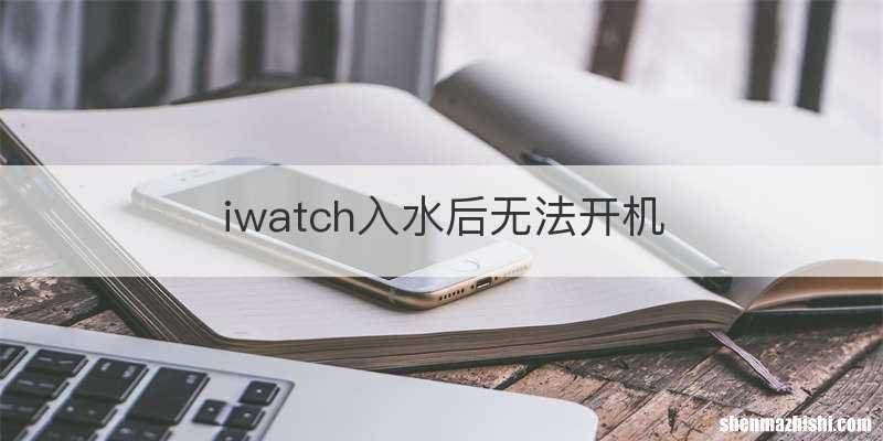 iwatch入水后无法开机