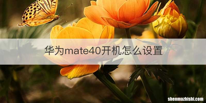 华为mate40开机怎么设置