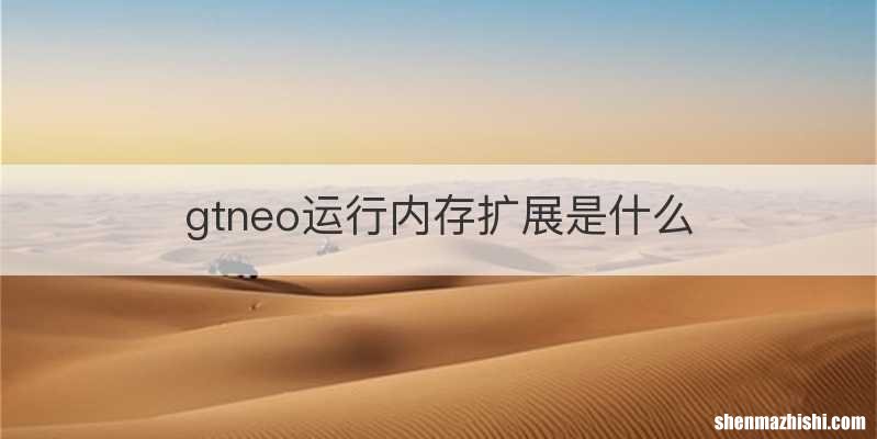 gtneo运行内存扩展是什么