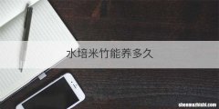 水培米竹能养多久