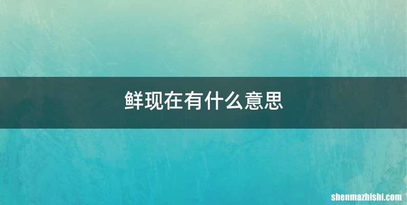 鲜现在有什么意思