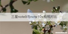 三星note9与note10+拍照对比