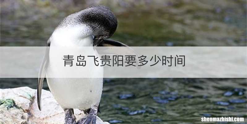 青岛飞贵阳要多少时间