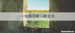 一树黄花醉人眼全诗