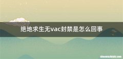 绝地求生无vac封禁是怎么回事