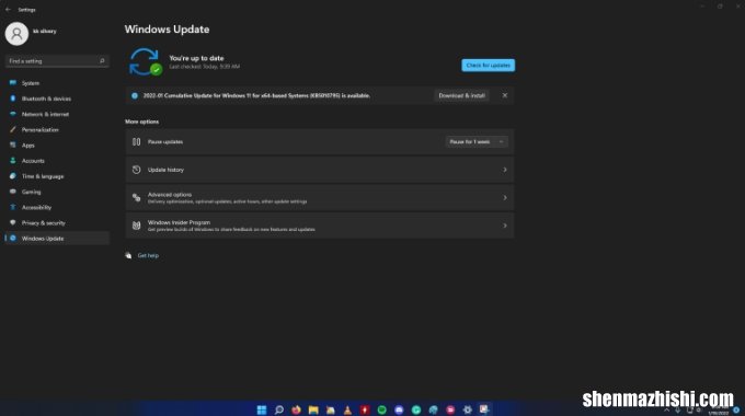 如何修复WhatsApp在Windows11上不断崩溃的问题？