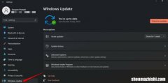 WIN11电脑按alt+tab没反应，帮你快速恢复