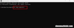 修复Windows11中的IntelliGo扩展100.1.4.1273下载错误